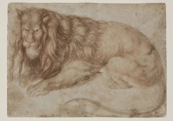 Framed Print : Recumbent Lion, between 1494 and 1495. Creator: Albrecht Durer Framed Print : Recumbent Lion, between 1494 and 1495. Creator: Albrecht Durer