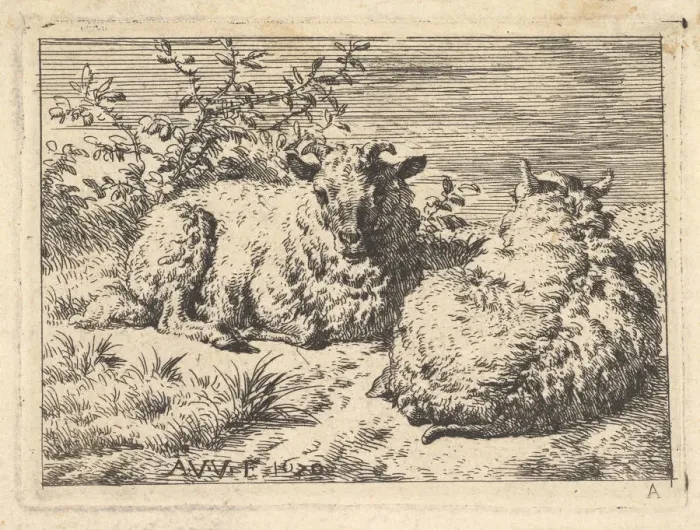 Framed Print : Two Recumbent Sheep, 1670. Creator: Adriaen van de Velde Framed Print : Two Recumbent Sheep, 1670. Creator: Adriaen van de Velde