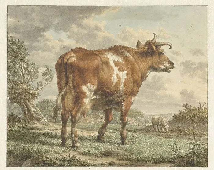 Framed Print : Red-and-white cow in a landscape, 1783. Creator: Jacob Cats Framed Print : Red-and-white cow in a landscape, 1783. Creator: Jacob Cats