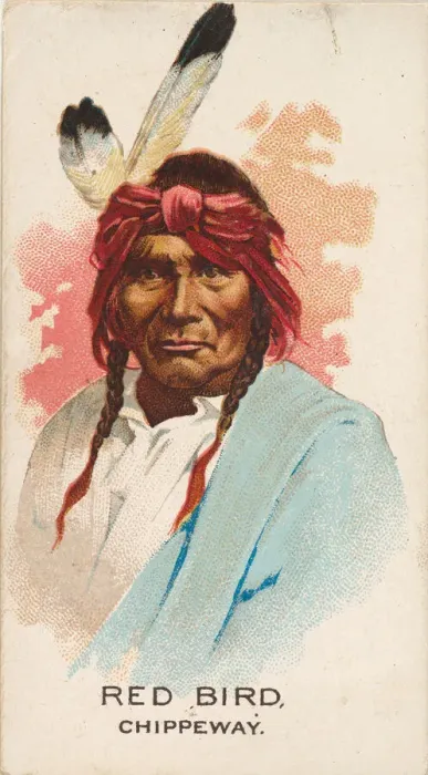 Framed Print : Red Bird, Chippeway, from the American Indian Chiefs series (N2) for Allen & Framed Print : Red Bird, Chippeway, from the American Indian Chiefs series (N2) for Allen &