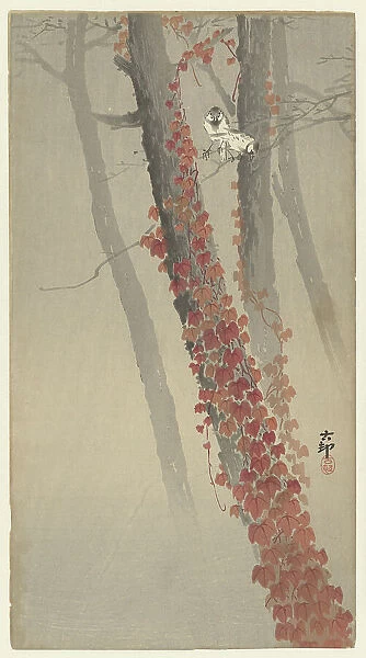 Red ivy. Creator: Ohara, Koson (1877-1945)