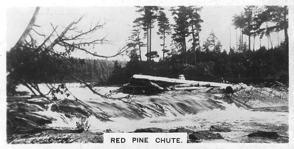 Red Pine Chute, Canada, c1920s