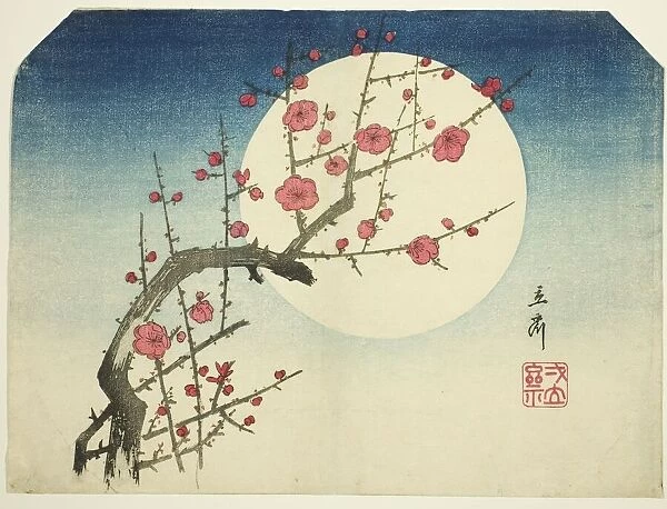 A Red Plum Branch against the Summer Moon, c. mid-1840s. Creator: Ando Hiroshige