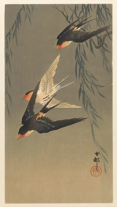 Framed Print : Three red-rumped swallows in a dive, 1920-1930. Creator: Ohara, Koson (1877-1945) Framed Print : Three red-rumped swallows in a dive, 1920-1930. Creator: Ohara, Koson (1877-1945)
