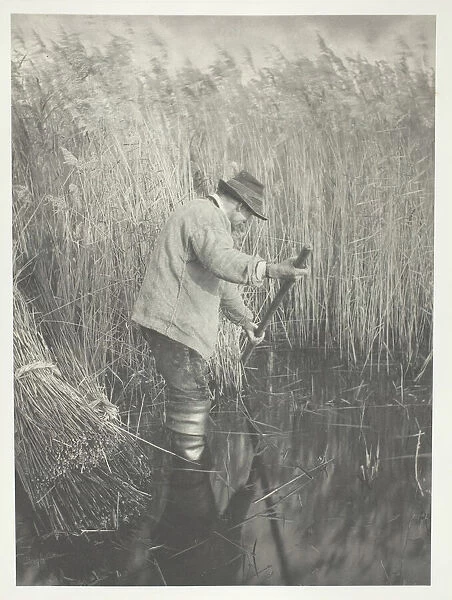 A Reed-Cutter at Work, 1886. Creator: Peter Henry Emerson