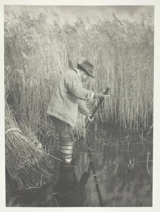 Framed Print : A Reed-Cutter at Work, 1886. Creator: Peter Henry Emerson Framed Print : A Reed-Cutter at Work, 1886. Creator: Peter Henry Emerson