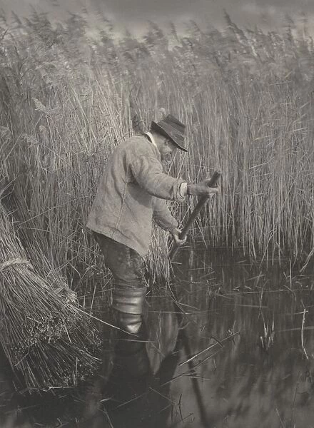 A Reed-Cutter at Work, 1886. Creators: Dr Peter Henry Emerson, Thomas Frederick Goodall