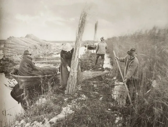 Framed Print : During the Reed-Harvest, 1886. Creator: Peter Henry Emerson Framed Print : During the Reed-Harvest, 1886. Creator: Peter Henry Emerson
