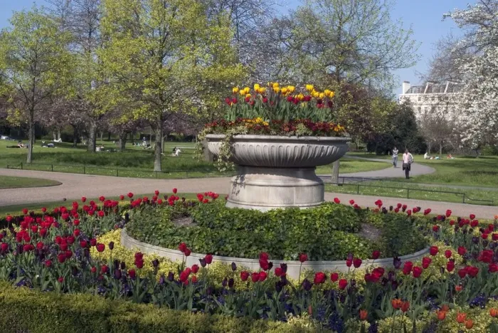 Framed Print : Regents Park - Springtime floral displays in Regents Park, London, NW1. England Framed Print : Regents Park - Springtime floral displays in Regents Park, London, NW1. England