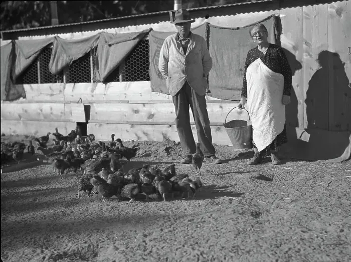 Framed Print : Rehabilitation clients, five miles outside Phoenix, Arizona, 1935. Creator: Dorothea Lange Framed Print : Rehabilitation clients, five miles outside Phoenix, Arizona, 1935. Creator: Dorothea Lange