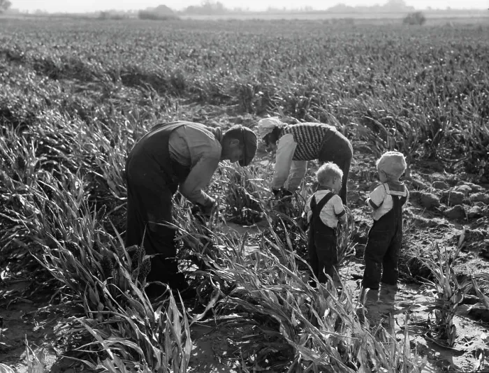 Framed Print : Formerly rehabilitation clients now operating own farm, near Manteca, California, 1938. Creator: Dorothea Lange Framed Print : Formerly rehabilitation clients now operating own farm, near Manteca, California, 1938. Creator: Dorothea Lange