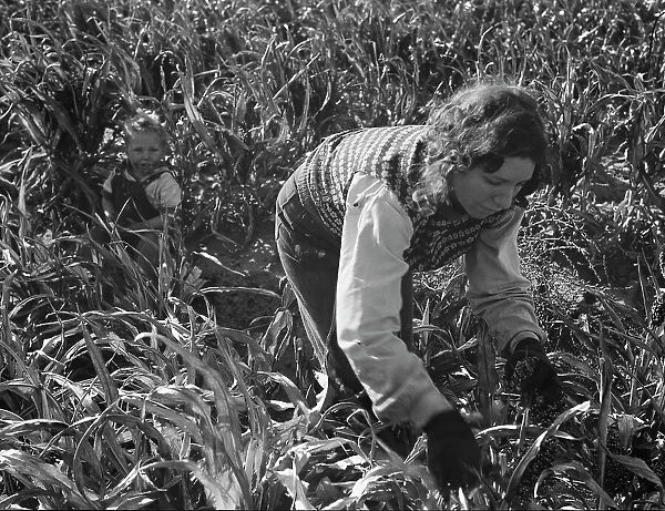 Formerly rehabilitation clients now operating own farm, near Manteca, California, 1938. Creator: Dorothea Lange