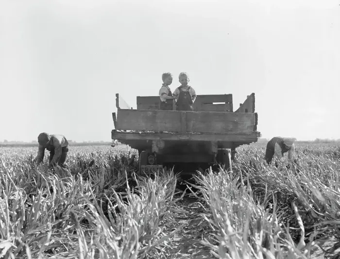 Framed Print : Formerly rehabilitation clients now operating own farm, near Manteca, California, 1938. Creator: Dorothea Lange Framed Print : Formerly rehabilitation clients now operating own farm, near Manteca, California, 1938. Creator: Dorothea Lange