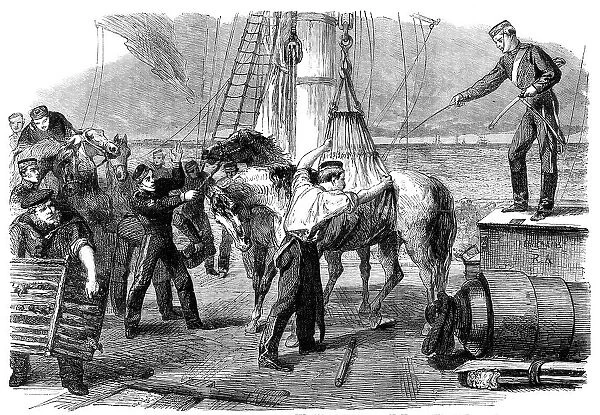 The Reinforcements for Canada: shipping horses on board the Calcutta at Woolwich by the... 1862. Creator: Unknown