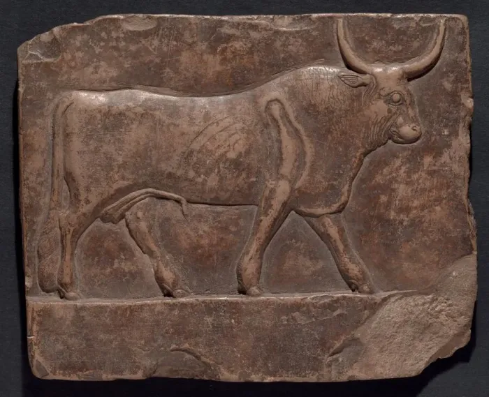 Framed Print : Relief of a Bull, Egypt, Early Ptolemaic Period, about 300 BCE. Creator: Unknown Framed Print : Relief of a Bull, Egypt, Early Ptolemaic Period, about 300 BCE. Creator: Unknown