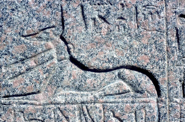 Detail from relief on granite sarcophagus of Anubis, Memphis, Egypt, Middle kingdom period