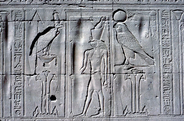 Relief of Horus (falcon-headed god), Temple of Horus, Edfu, Egypt, c251 BC - c246 BC