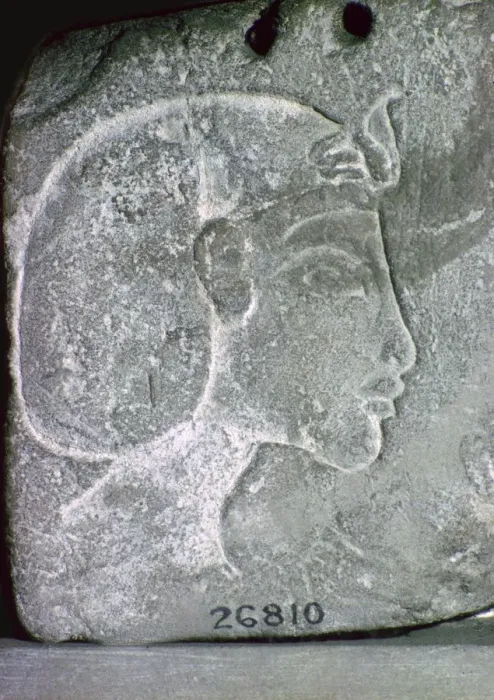 Framed Print : Relief showing the head of Akhenaten, 14th century BC Framed Print : Relief showing the head of Akhenaten, 14th century BC