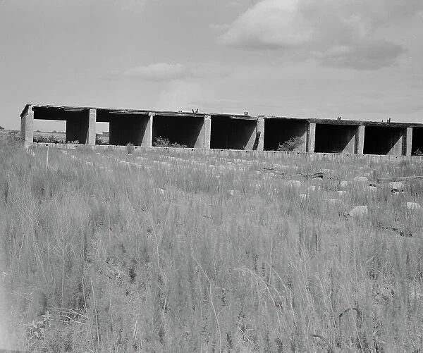 Remains of dry kiln shed, Fullerton, Louisiana, 1937. Creator: Dorothea Lange