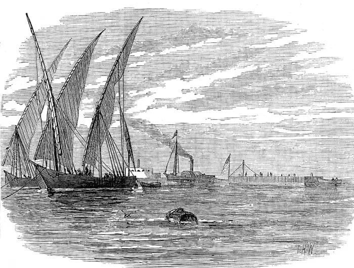 Framed Print : Removal of another obelisk from Alexandria, for transport to New York, 1880. Creator: Unknown Framed Print : Removal of another obelisk from Alexandria, for transport to New York, 1880. Creator: Unknown