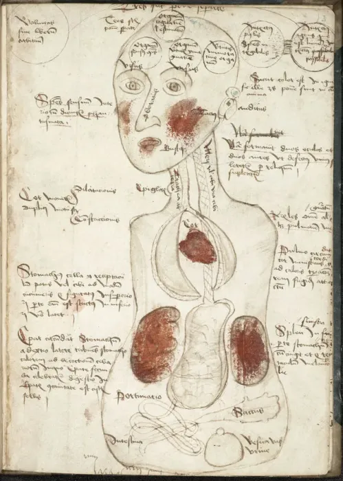 Framed Print : Representation of an Aristotelian Theory of Consciousness (From: De corpore et anima). Artist: Anonymous