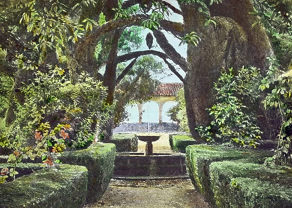 Reproduction of illustration showing a garden fountain, between 1915 and 1925. Creator: Frances Benjamin Johnston