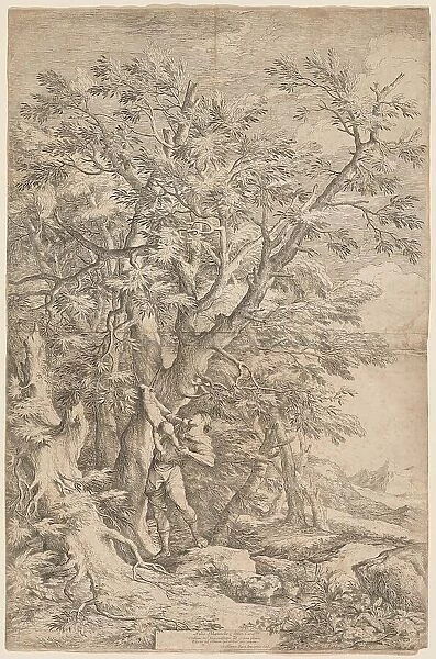The Rescue of the Infant Oedipus, 1663. Creator: Salvator Rosa