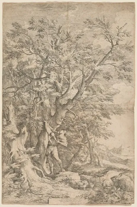 Framed Print : The Rescue of the Infant Oedipus, 1663. Creator: Salvator Rosa Framed Print : The Rescue of the Infant Oedipus, 1663. Creator: Salvator Rosa