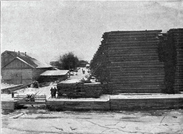 'Reserve de bois sur une rive de la Dvina. 1916. Creator: Unknown