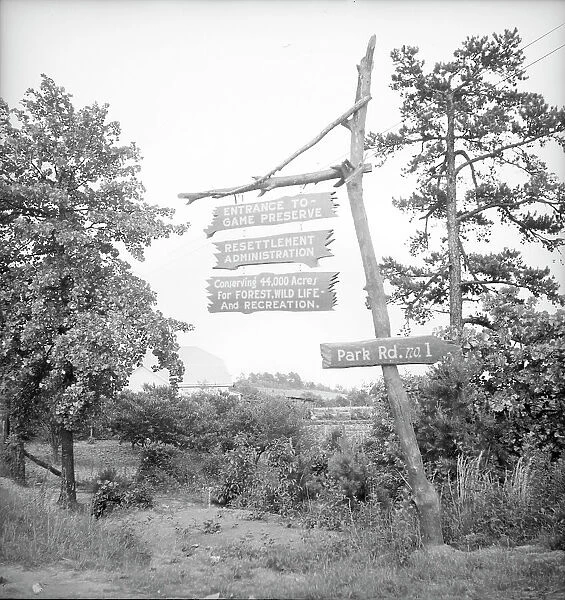 Resettlement project located near Gainesville, Georgia, 1936. Creator: Dorothea Lange
