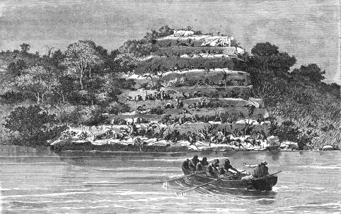 Framed Print : Resort of Apes on the banks of the Senegal; Journey from the Senegal to the Niger, 1875. Creator: Unknown Framed Print : Resort of Apes on the banks of the Senegal; Journey from the Senegal to the Niger, 1875. Creator: Unknown