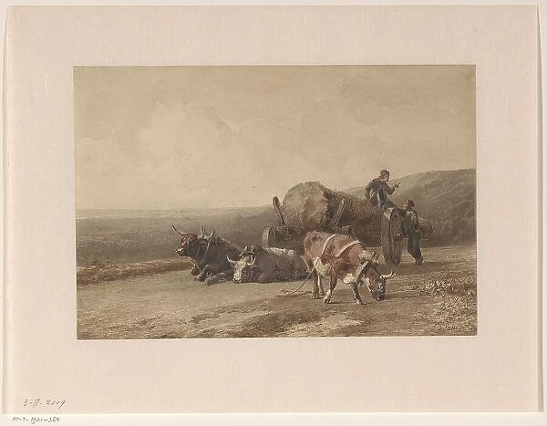 Resting oxen, 1862. Creator: Jan Bedys Tom