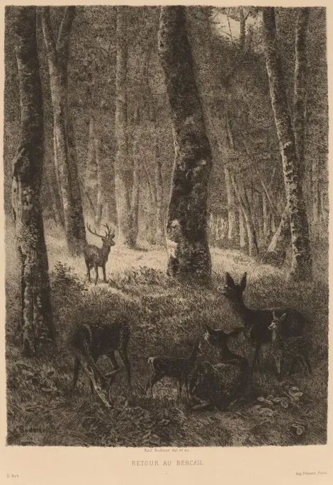 Framed Print : Retour au Bercail. Creator: Karl Bodmer Framed Print : Retour au Bercail. Creator: Karl Bodmer