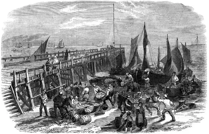 Framed Print : Return of the herring boats, Yarmouth, Isle of Wight, 1856. Artist: NR Woods Framed Print : Return of the herring boats, Yarmouth, Isle of Wight, 1856. Artist: NR Woods