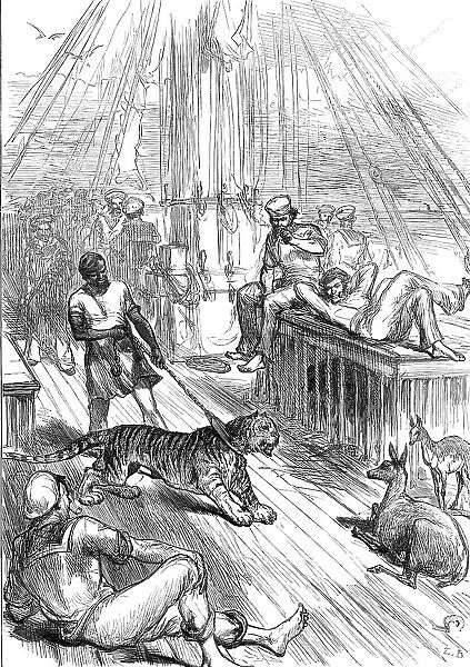 Return of the Prince of Wales from India: Life on Board the Serapis - Tiger and Cheetals...1876. Creator: L.B