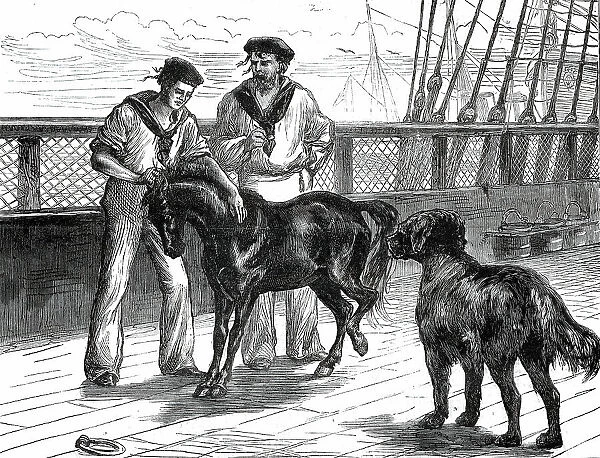 Return of the Prince of Wales from India: life on board the Serapis: Pony and Thibet Dog...1876. Creator: Unknown