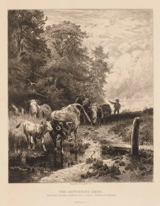 Framed Print : The Returning Herd, c. 1885. Creator: Peter Moran (American, 1841-1914) Framed Print : The Returning Herd, c. 1885. Creator: Peter Moran (American, 1841-1914)