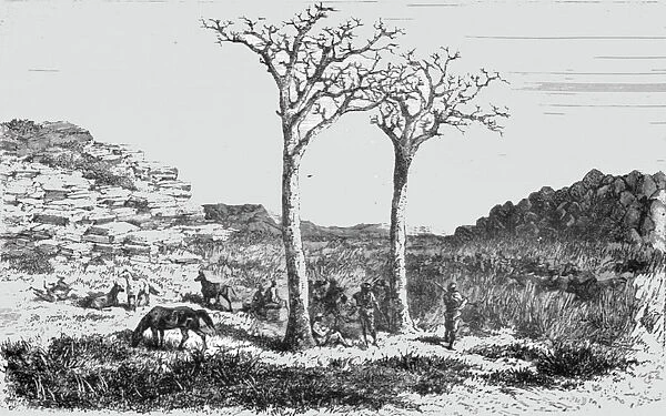 Returning from a Trading Trip; Life in a South African Colony, 1875. Creator: Unknown