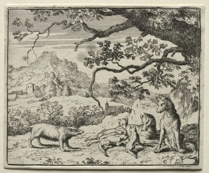 Framed Print : Reynard the Fox: The Badger Calls Reynard to Court. Creator: Allart van Everdingen (Dutch Framed Print : Reynard the Fox: The Badger Calls Reynard to Court. Creator: Allart van Everdingen (Dutch