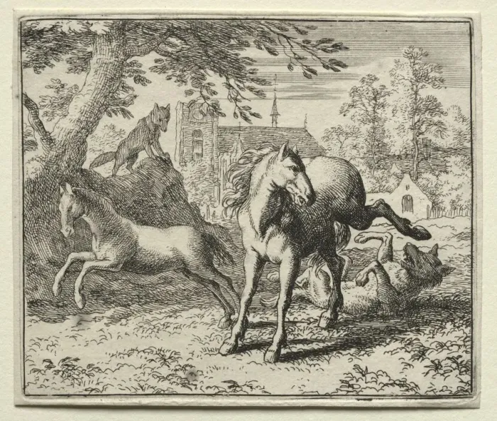 Framed Print : Reynard the Fox: Reynard Tricks the Wolf. Creator: Allart van Everdingen (Dutch, 1621-1675) Framed Print : Reynard the Fox: Reynard Tricks the Wolf. Creator: Allart van Everdingen (Dutch, 1621-1675)