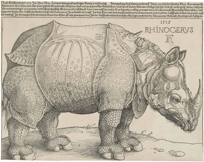 Framed Print : The Rhinoceros Framed Print : The Rhinoceros