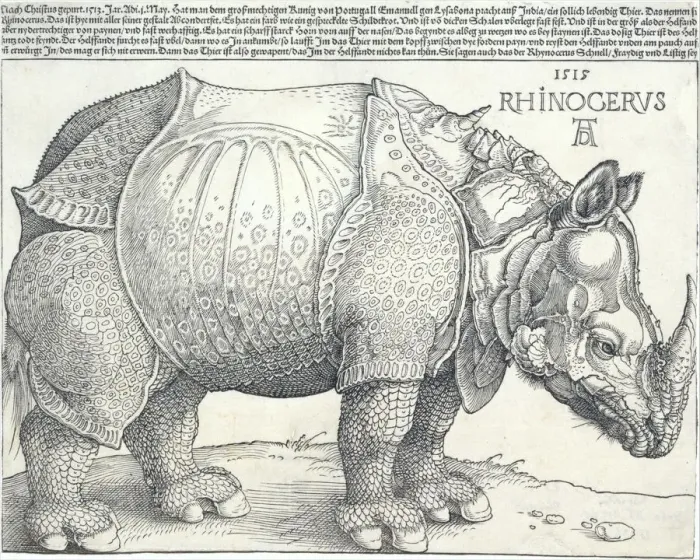 Framed Print : The Rhinoceros, 1515. 1515. Creator: Albrecht Durer Framed Print : The Rhinoceros, 1515. 1515. Creator: Albrecht Durer