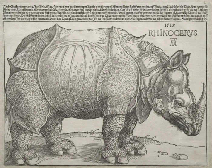 Framed Print : The Rhinoceros, 1515. Creator: Albrecht Dürer (German, 1471-1528) Framed Print : The Rhinoceros, 1515. Creator: Albrecht Dürer (German, 1471-1528)