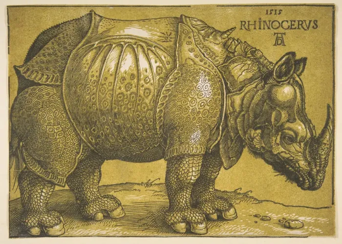 Framed Print : The Rhinoceros, after 1620. Creator: Albrecht Durer Framed Print : The Rhinoceros, after 1620. Creator: Albrecht Durer