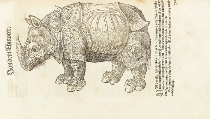 Framed Print : Rhinoceros. From Historia animalium, 1551-1558. Creator: Gesner (Gessner), Conrad (Konrad) (1516-1565) Framed Print : Rhinoceros. From Historia animalium, 1551-1558. Creator: Gesner (Gessner), Conrad (Konrad) (1516-1565)
