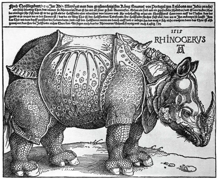 Framed Print : Rhinoceros, print given to Maximilian I by the King of Lisbon, 1515, (1936). Artist: Albrecht Durer Framed Print : Rhinoceros, print given to Maximilian I by the King of Lisbon, 1515, (1936). Artist: Albrecht Durer