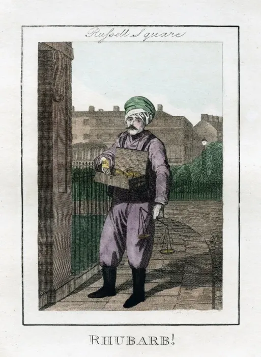Framed Print : Rhubarb, Russell Square, London, 1805 Framed Print : Rhubarb, Russell Square, London, 1805