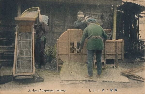A rice of Japanese, Country, c1910