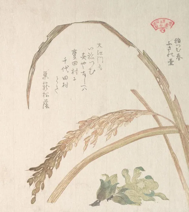 Framed Print : Rice Plant and Butter-Burs, 19th century. Creator: Kubo Shunman Framed Print : Rice Plant and Butter-Burs, 19th century. Creator: Kubo Shunman