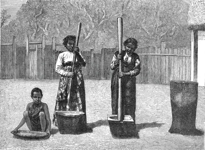 Framed Print : Rice-Pounding; A Birds-eye View of Madagascar, 1875. Creator: M.D Charnay Framed Print : Rice-Pounding; A Birds-eye View of Madagascar, 1875. Creator: M.D Charnay